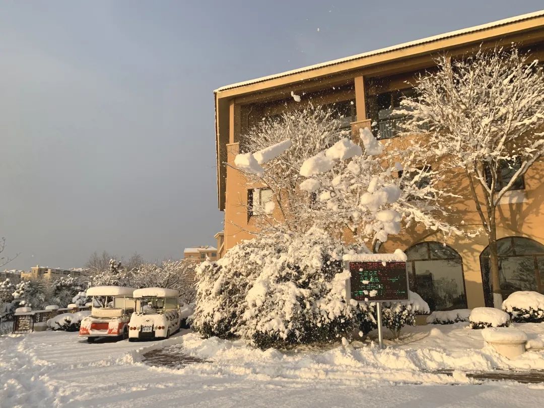 爱莲湾初雪降临 | 与您分享纯白色的极致浪漫(图12)