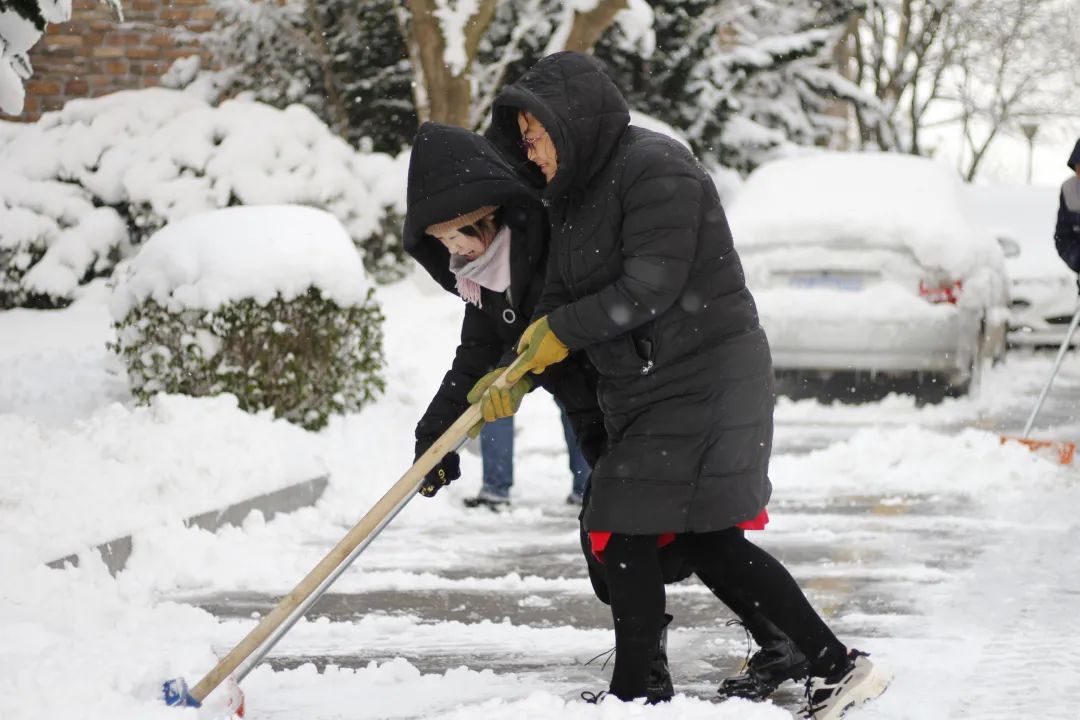 爱莲湾初雪降临 | 与您分享纯白色的极致浪漫(图16)