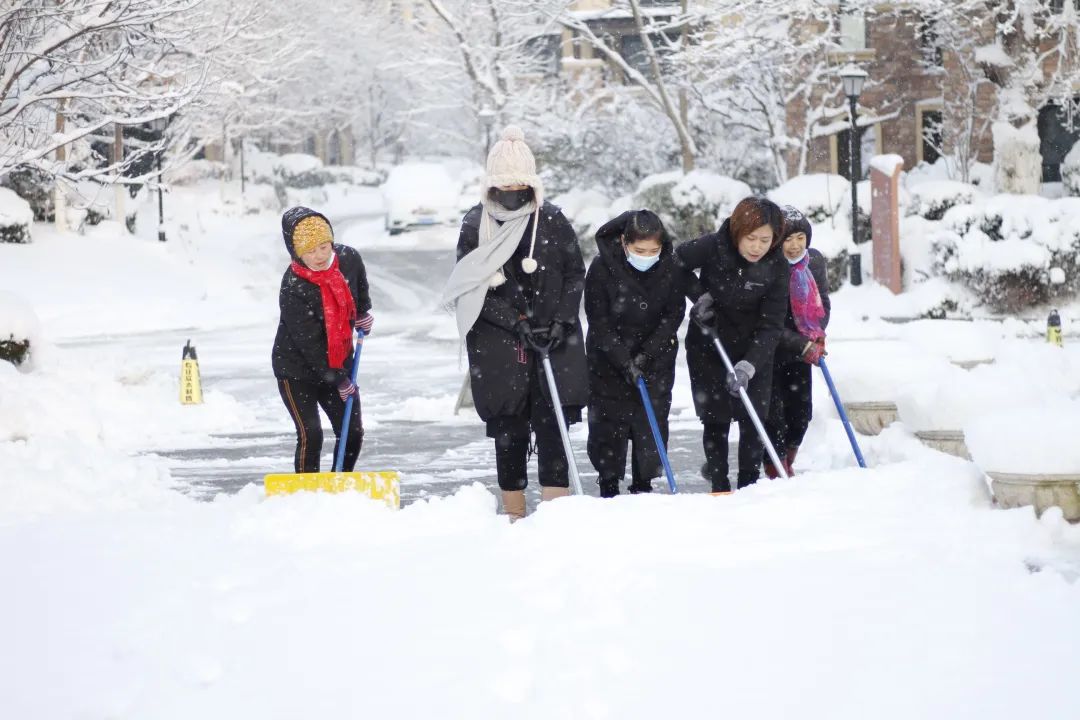 爱莲湾初雪降临 | 与您分享纯白色的极致浪漫(图14)